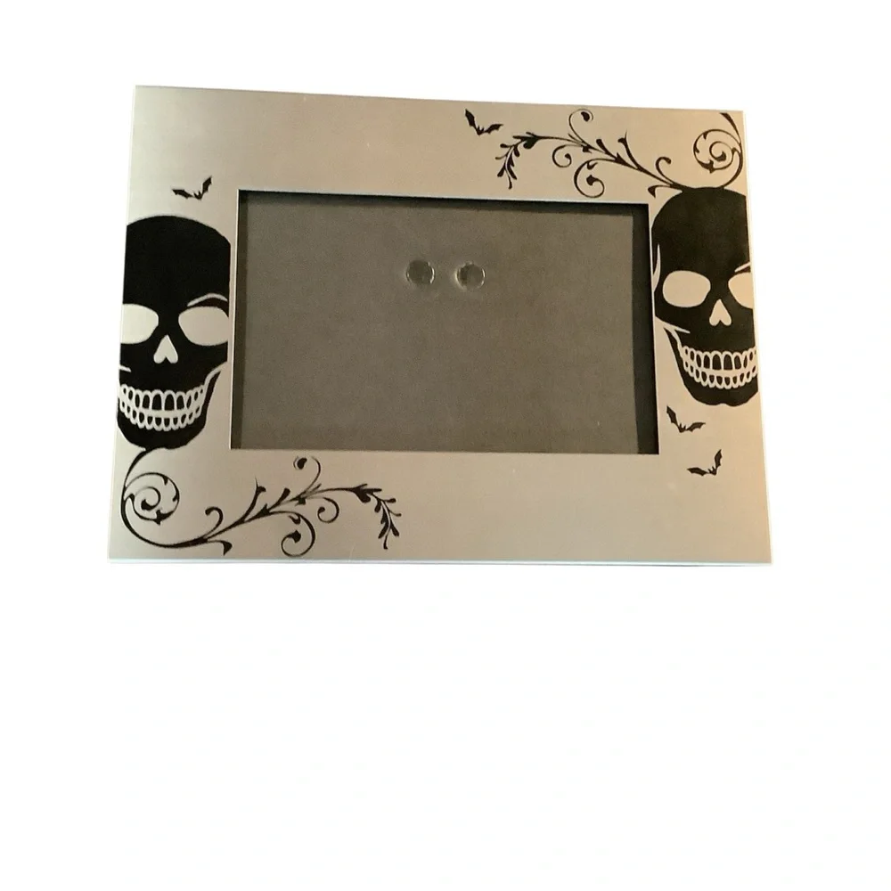 Silver and black skulls and bats picture frame (Tabletop)